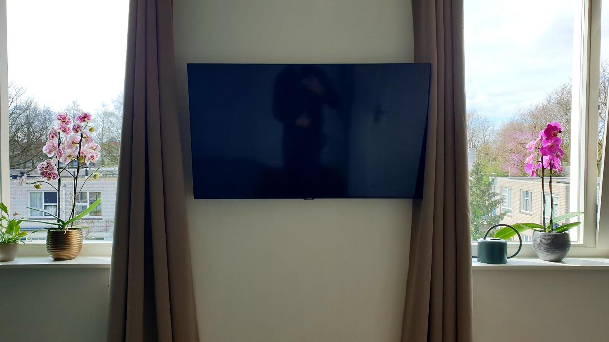 Amor Guesthouse อัมสเตอร์ดัม ภายนอก รูปภาพ